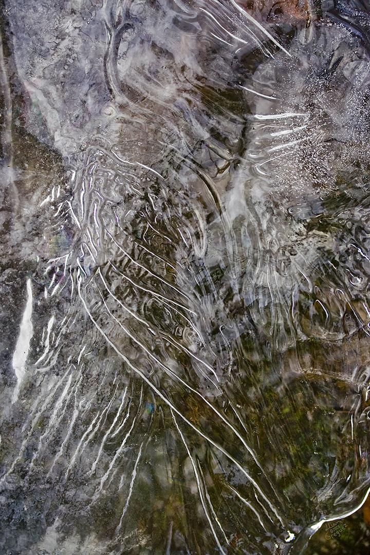Catskill mountain winter Ice macro photograph by Lliam Greguez 2008