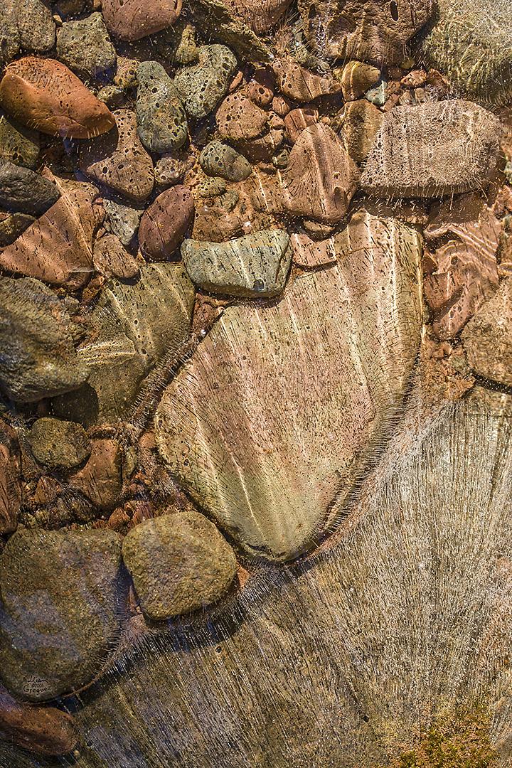 Catskill mountain winter Ice macro photograph by Lliam Greguez 2008