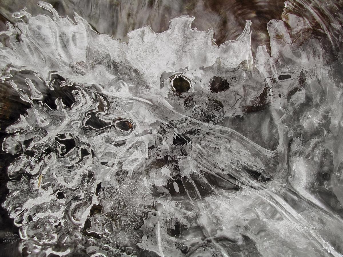 Catskill mountain winter Ice macro photograph by Lliam Greguez 2005