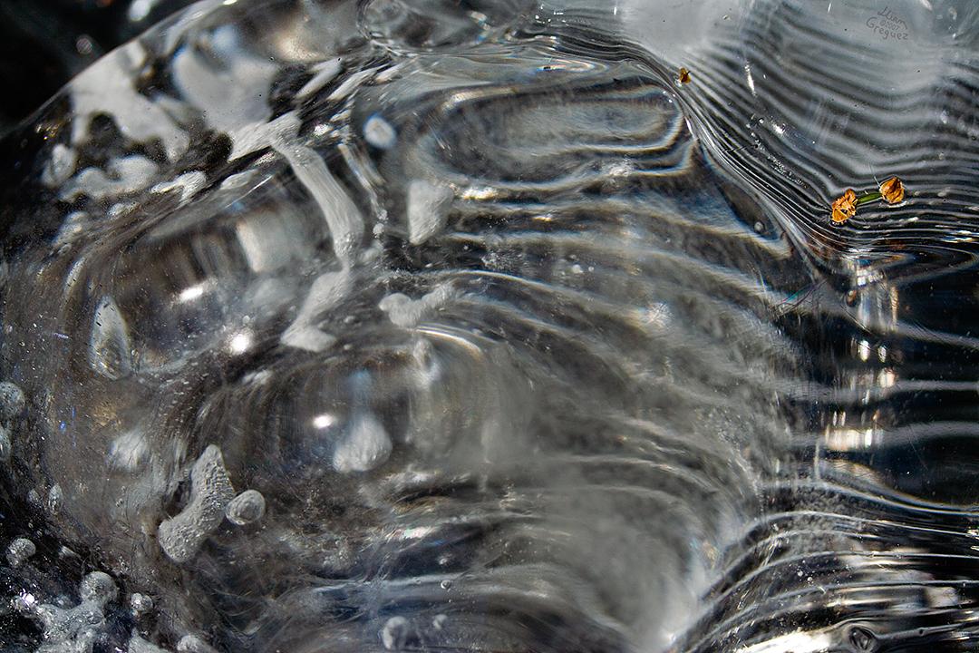 Catskill mountain winter Ice macro photograph by Lliam Greguez 2007