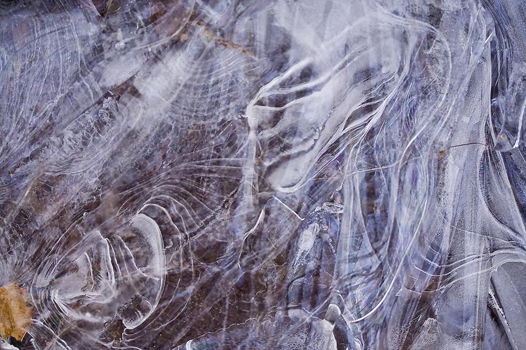 Catskill mountain winter Ice macro photograph by Lliam Greguez 2008