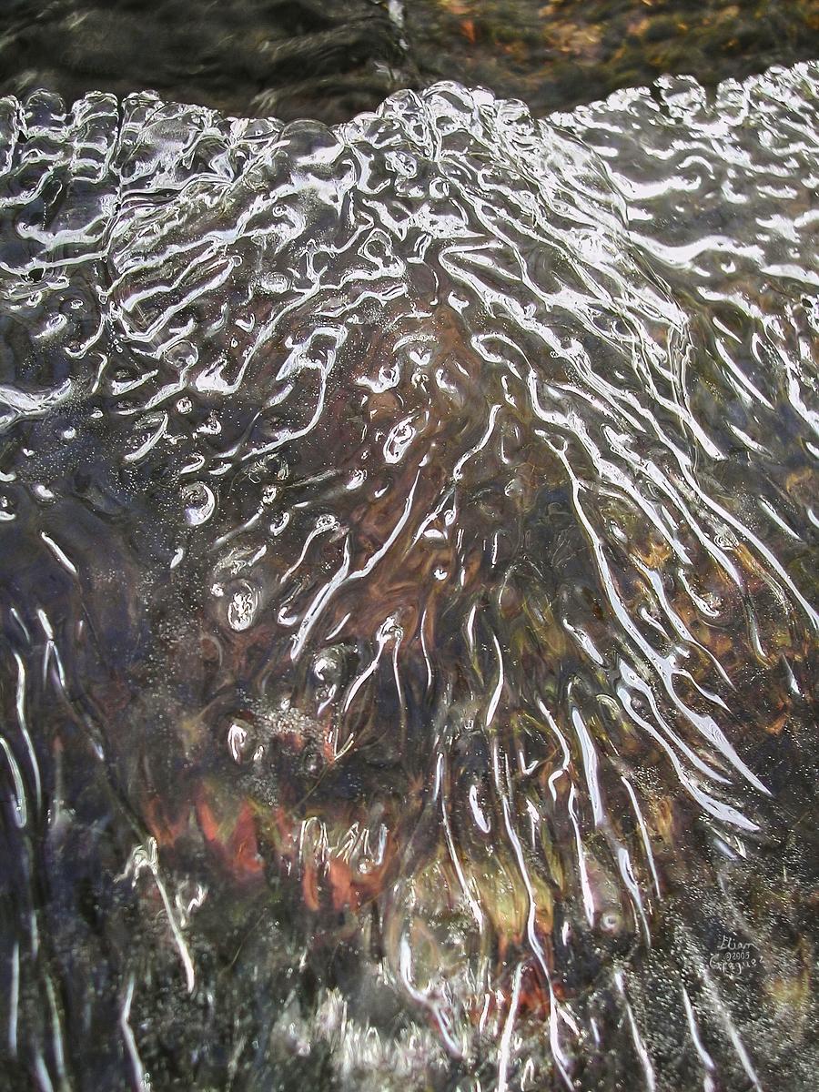 Catskill mountain winter Ice macro photograph by Lliam Greguez 2005