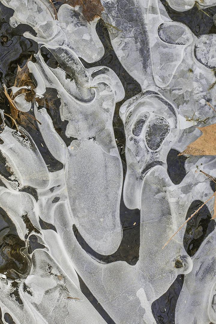 LliamGreguez Catskills iceformation ice iceart FrozenWater winter nature Stream naturephotography earthoutdoors roamtheplanet swivelable AgoraGallery Artist Macro Photography str12ng