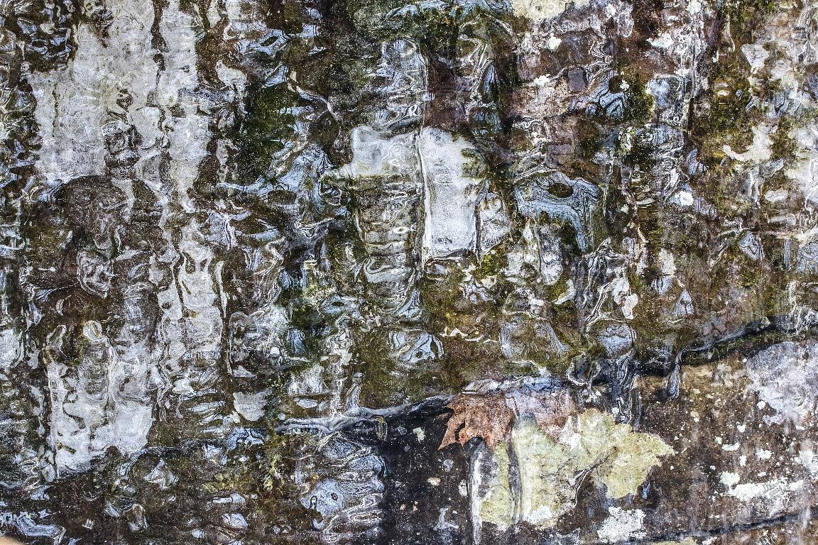 LliamGreguez 2025 Catskills iceformation ice iceart FrozenWater winter nature Stream naturephotography earthoutdoors roamtheplanet  Artist Macro Photography Str12ng Swivelable