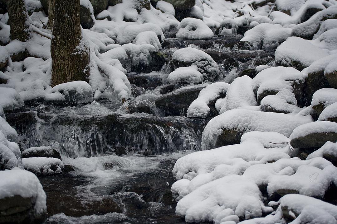 Catskill mountain winter Ice macro photograph by Lliam Greguez 2008