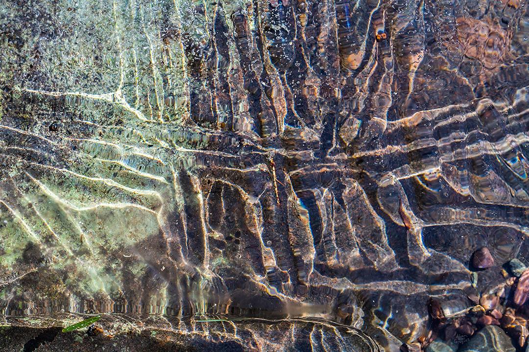 Catskill mountain winter Ice macro photograph by Lliam Greguez 2009 