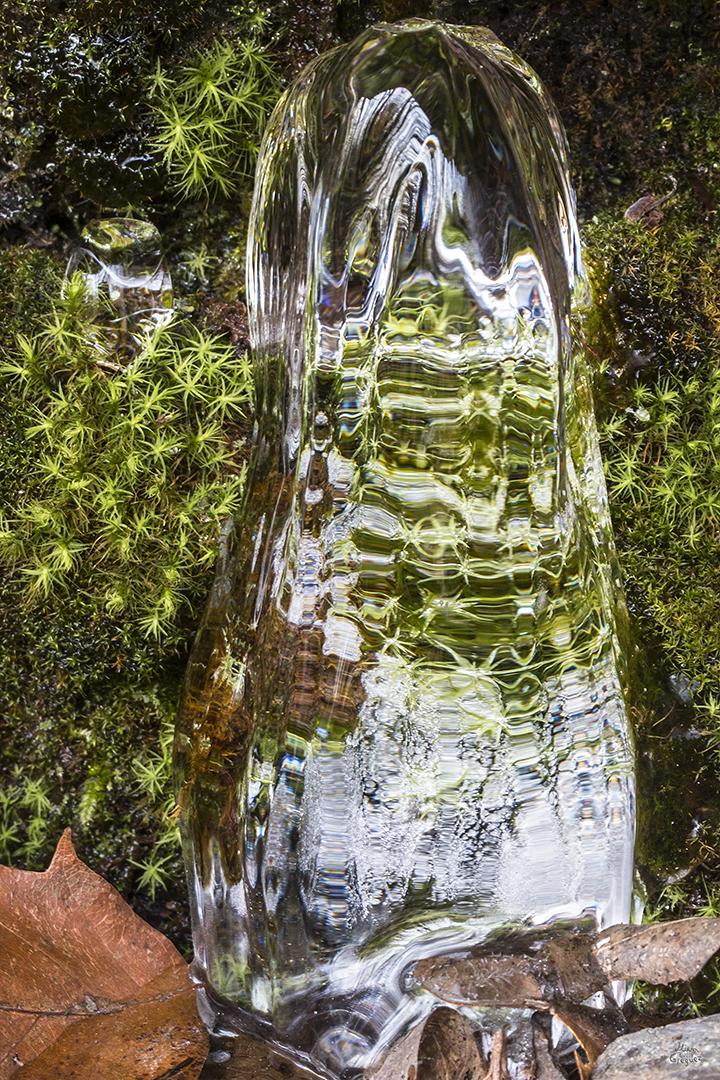 LliamGreguez Catskills iceformation ice iceart FrozenWater winter nature Stream naturephotography earthoutdoors roamtheplanet swivelable AgoraGallery Artist Macro Photography str12ng
