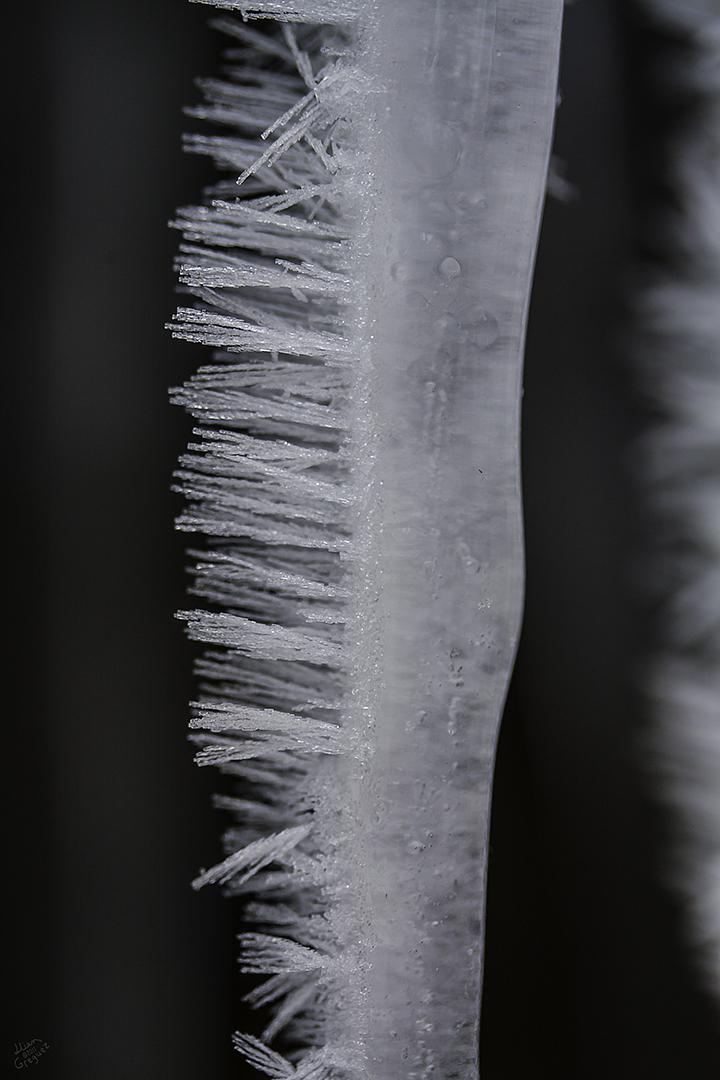 Catskill mountain winter Ice macro photograph by Lliam Greguez 2011