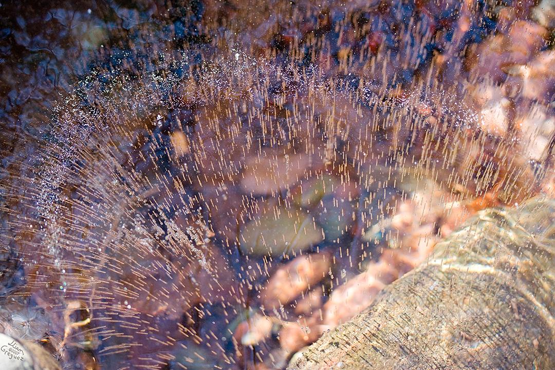 Catskill mountain winter Ice macro photograph by Lliam Greguez 2007
