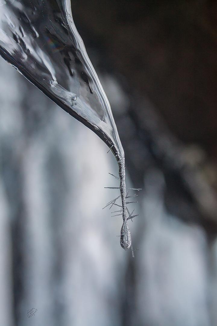 Catskill mountain winter Ice macro photograph by Lliam Greguez 2011