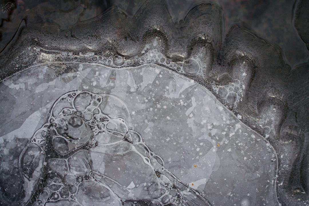 Catskill mountain winter Ice macro photograph by Lliam Greguez 2007 