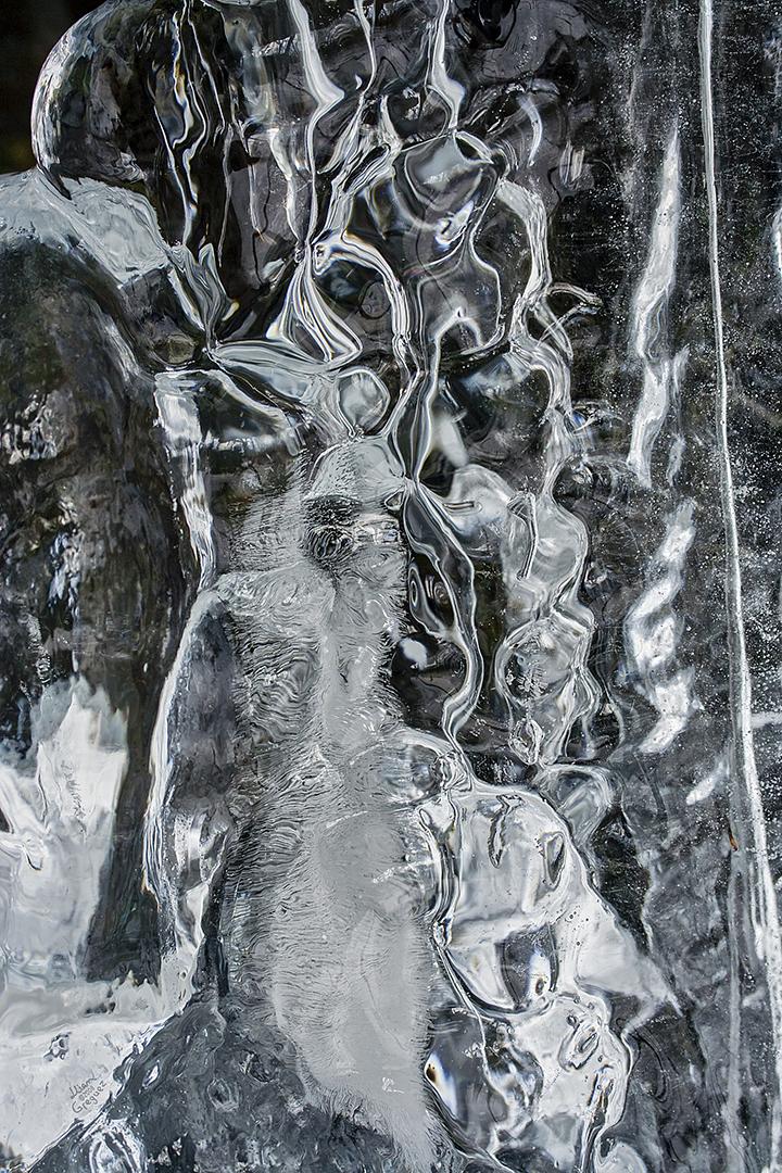 Catskill mountain winter Ice macro photograph by Lliam Greguez 2008