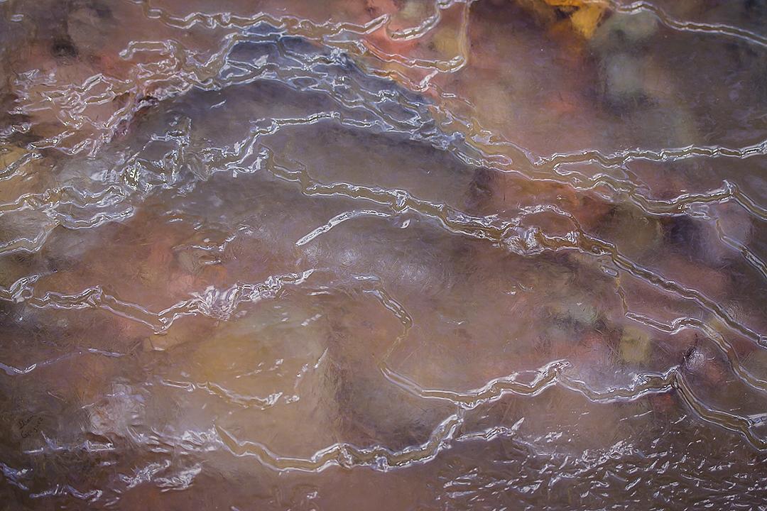 Catskill mountain winter Ice macro photograph by Lliam Greguez 2008
