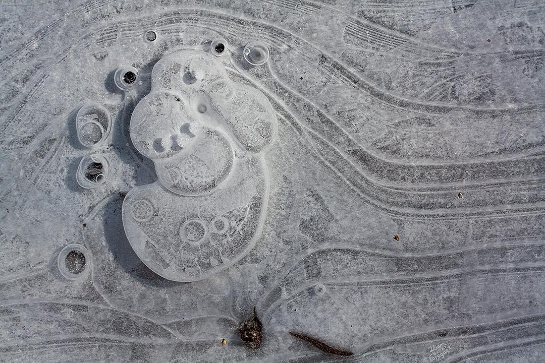 Catskill mountain winter Ice macro photograph by Lliam Greguez 2010