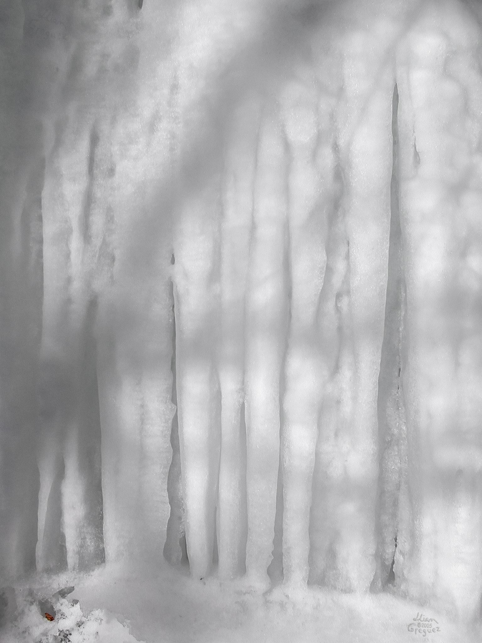 Catskill mountain winter Ice macro photograph by Lliam Greguez 2005