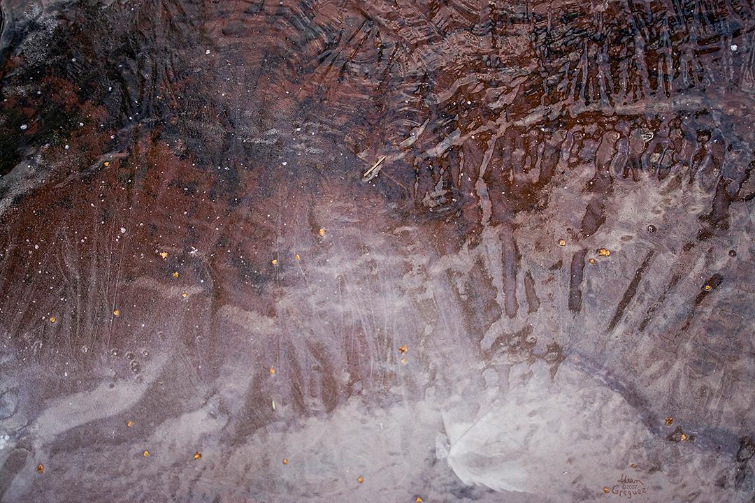 Catskill mountain winter Ice macro photograph by Lliam Greguez 2007