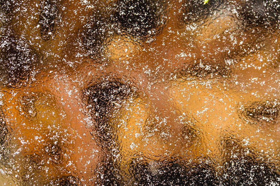 Catskill mountain winter Ice macro photograph by Lliam Greguez 2007