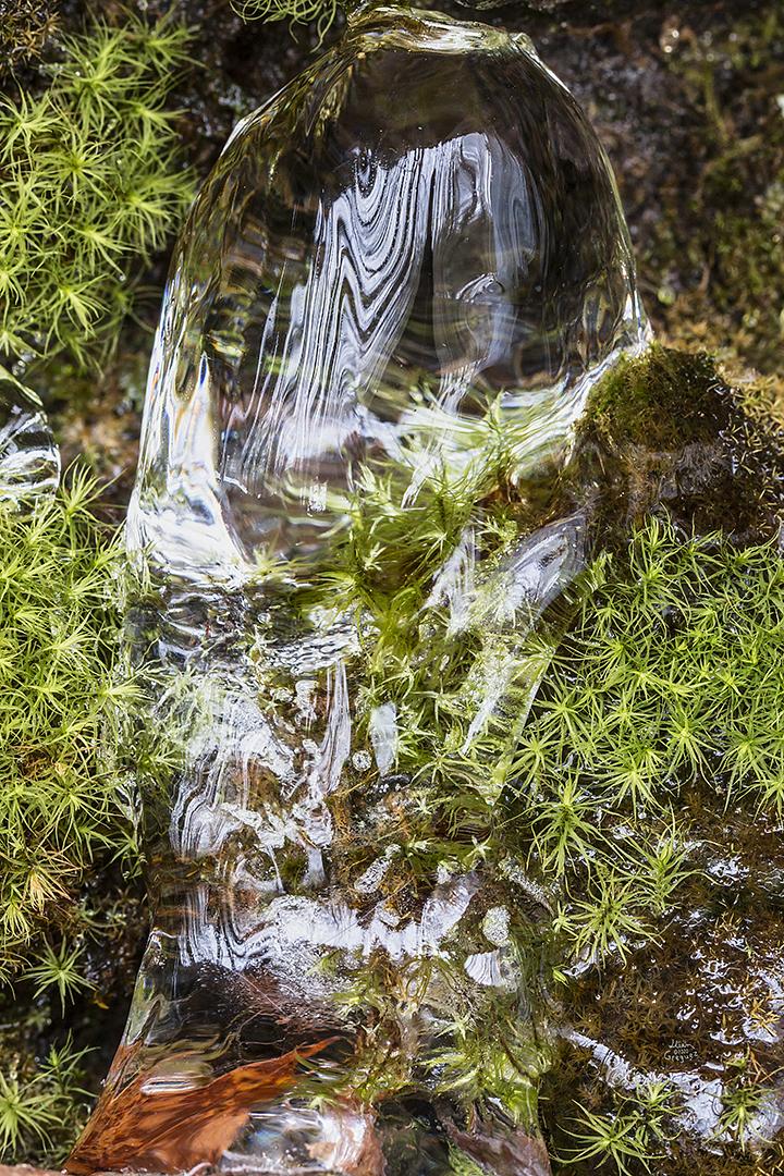 LliamGreguez Catskills iceformation ice iceart FrozenWater winter nature Stream naturephotography earthoutdoors roamtheplanet swivelable AgoraGallery Artist Macro Photography @str12ng