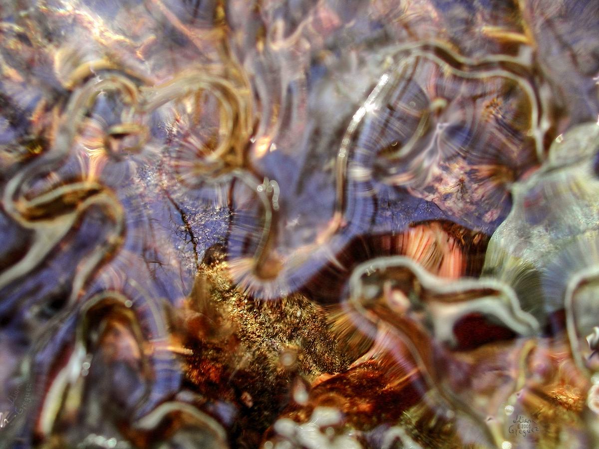Catskill mountain winter Ice macro photograph by Lliam Greguez 2005
