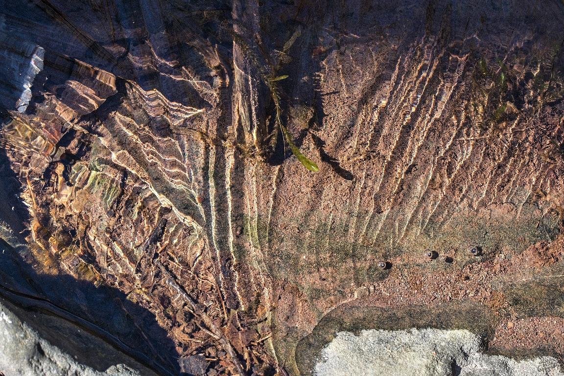 LliamGreguez 2025 Catskills iceformation ice iceart FrozenWater winter nature Stream naturephotography earthoutdoors roamtheplanet  Artist Macro Photography Str12ng Swivelable