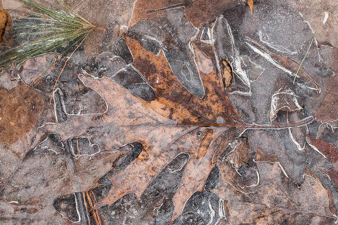 LliamGreguez Catskills iceformation ice iceart FrozenWater winter nature Stream naturephotography earthoutdoors roamtheplanet swivelable AgoraGallery Artist Macro Photography str12ng