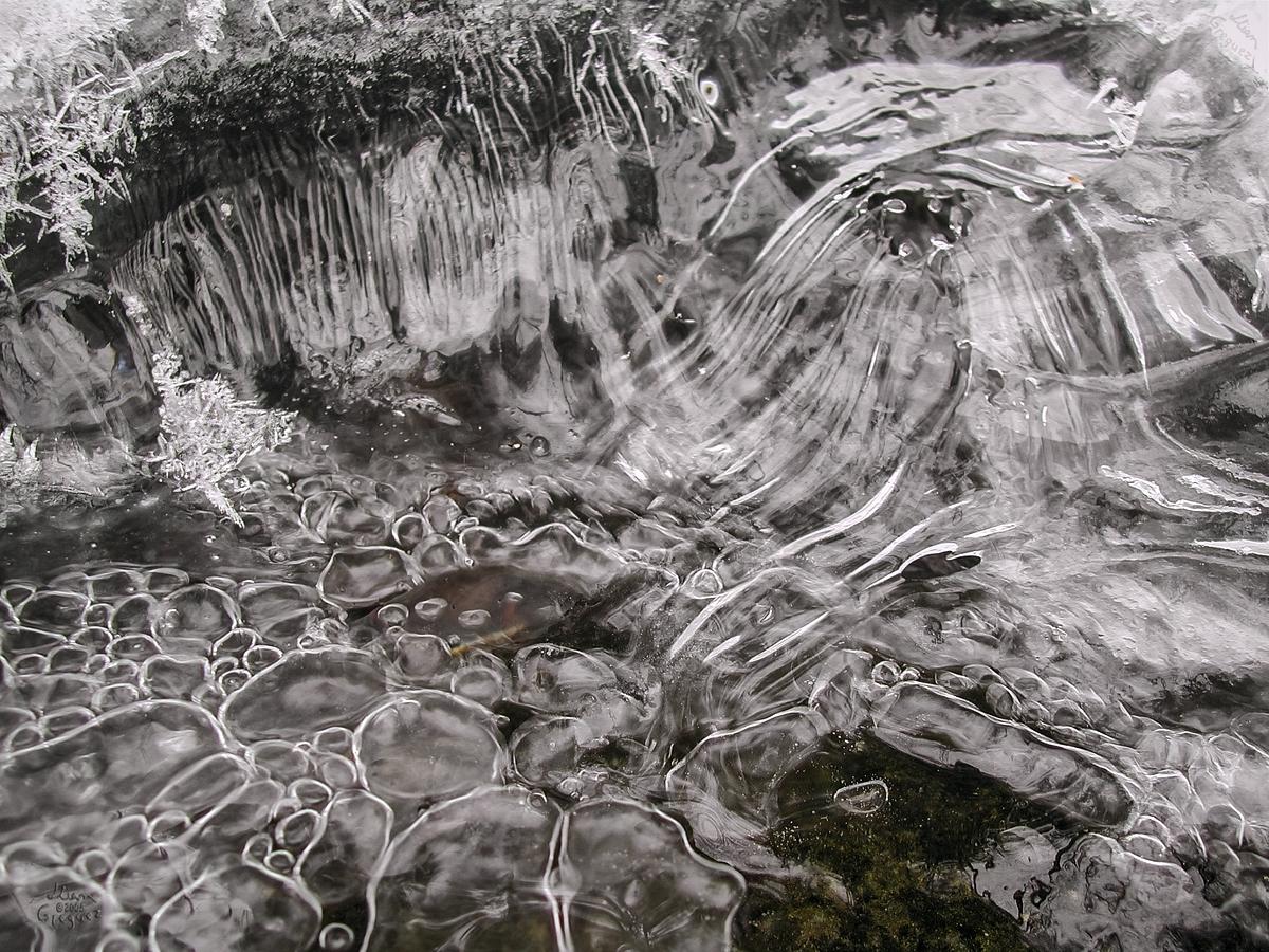 Catskill mountain winter Ice macro photograph by Lliam Greguez 2005