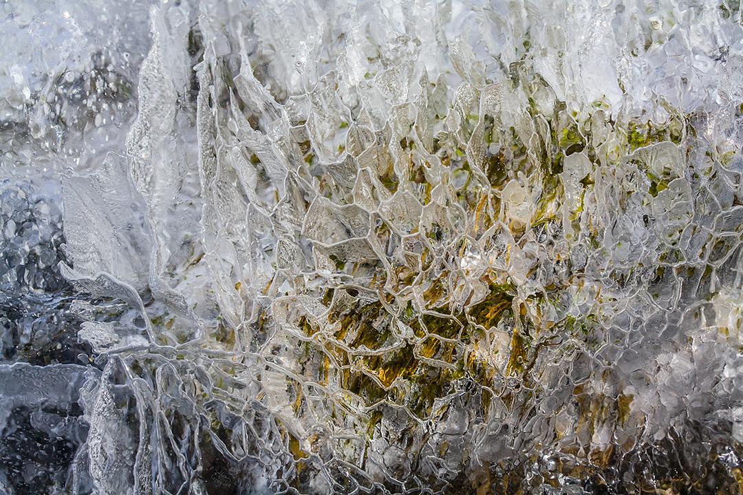 Catskill mountain winter Ice macro photograph by Lliam Greguez 2009 