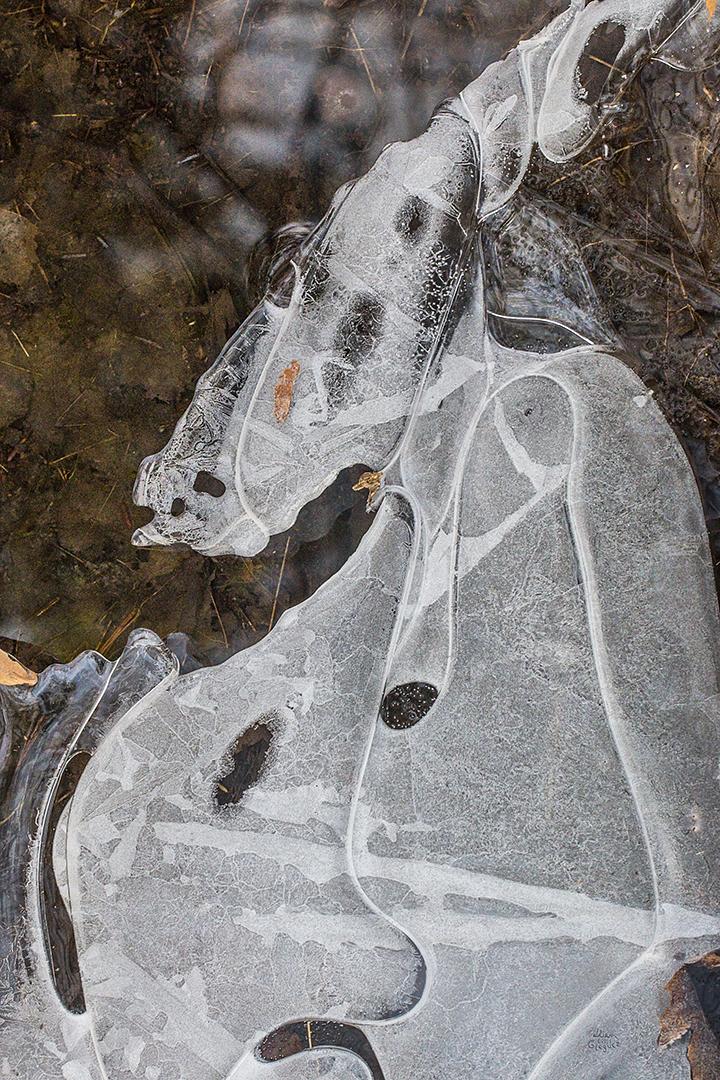 LliamGreguez Catskills iceformation ice iceart FrozenWater winter nature Stream naturephotography earthoutdoors roamtheplanet swivelable AgoraGallery Artist Macro Photography str12ng