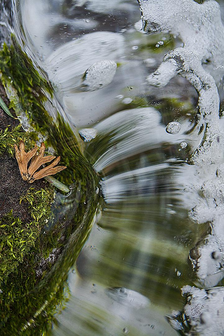Catskill mountain winter Ice macro photograph by Lliam Greguez 2007