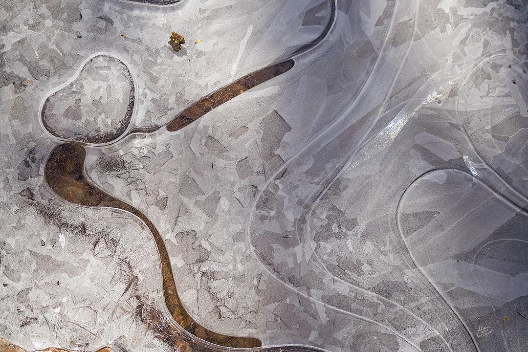 Catskill mountain winter Ice macro photograph by Lliam Greguez 2008