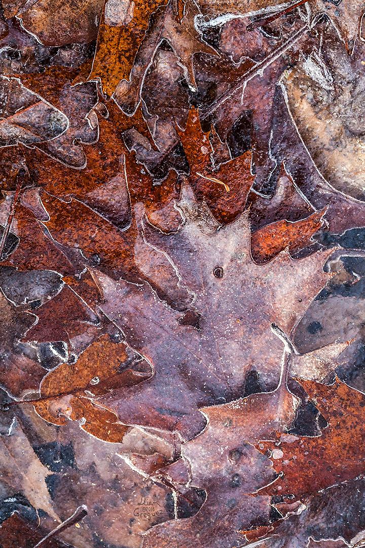 Catskill mountain Ice in the winter of 2016 photographed by Lliam Greguez