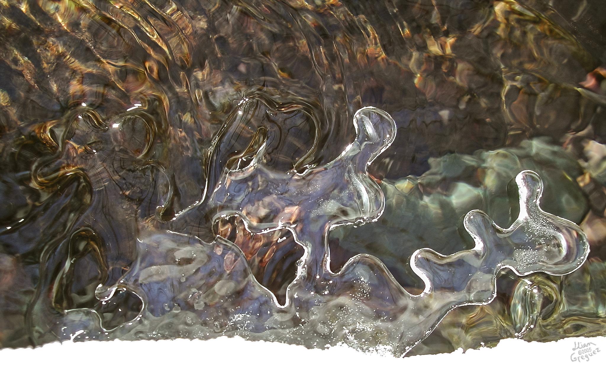 Catskill mountain winter Ice macro photograph by Lliam Greguez 2005