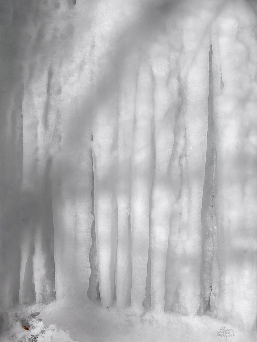 Catskill mountain winter Ice macro photograph by Lliam Greguez 2005