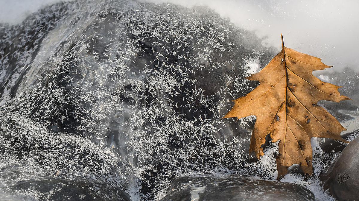 LliamGreguez Catskills iceformation ice iceart FrozenWater winter nature Stream naturephotography earthoutdoors roamtheplanet swivelable AgoraGallery Artist Macro Photography str12ng