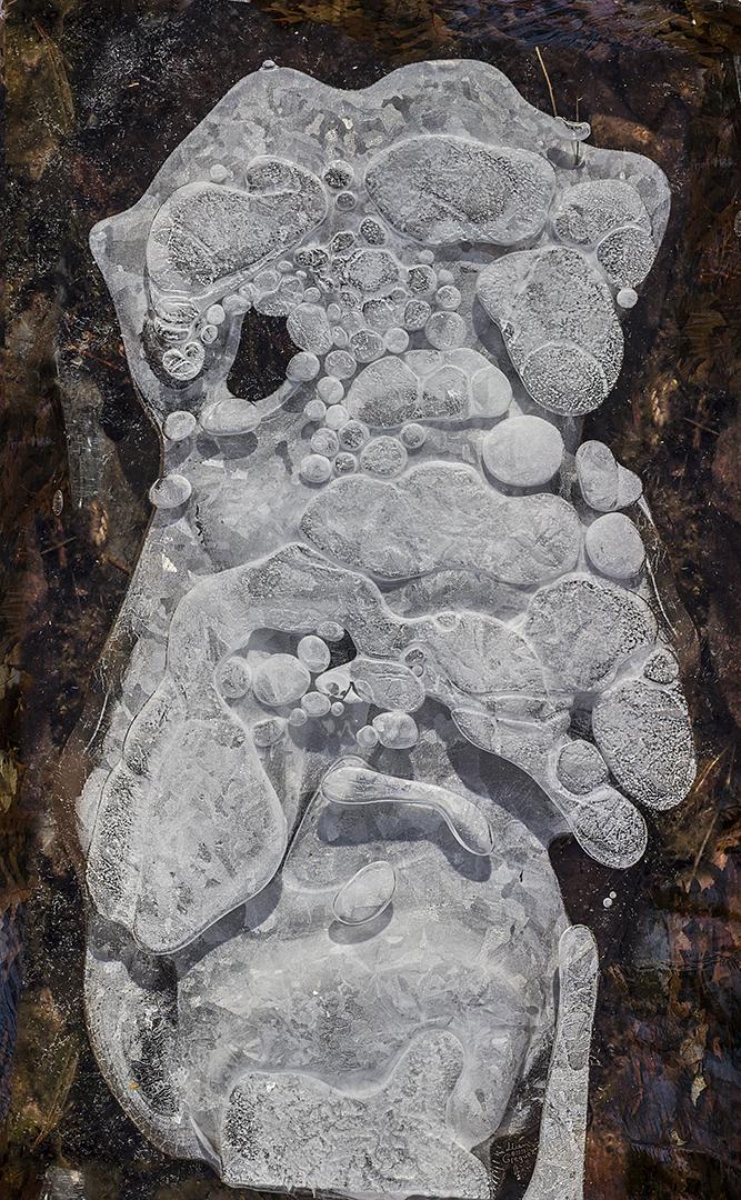 LliamGreguez Catskills iceformation ice iceart FrozenWater winter nature Stream naturephotography earthoutdoors roamtheplanet swivelable AgoraGallery Artist Macro Photography str12ng