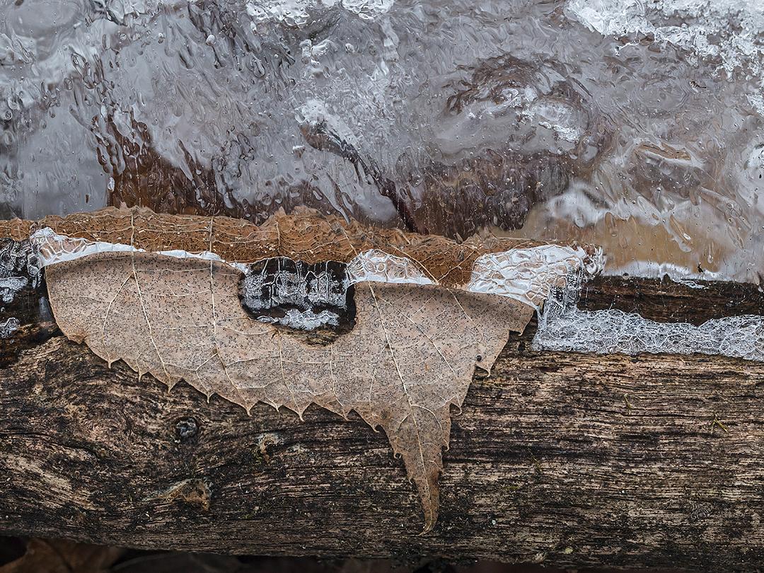 LliamGreguez Catskills iceformation ice iceart FrozenWater winter nature Stream naturephotography earthoutdoors roamtheplanet swivelable AgoraGallery Artist Macro Photography str12ng