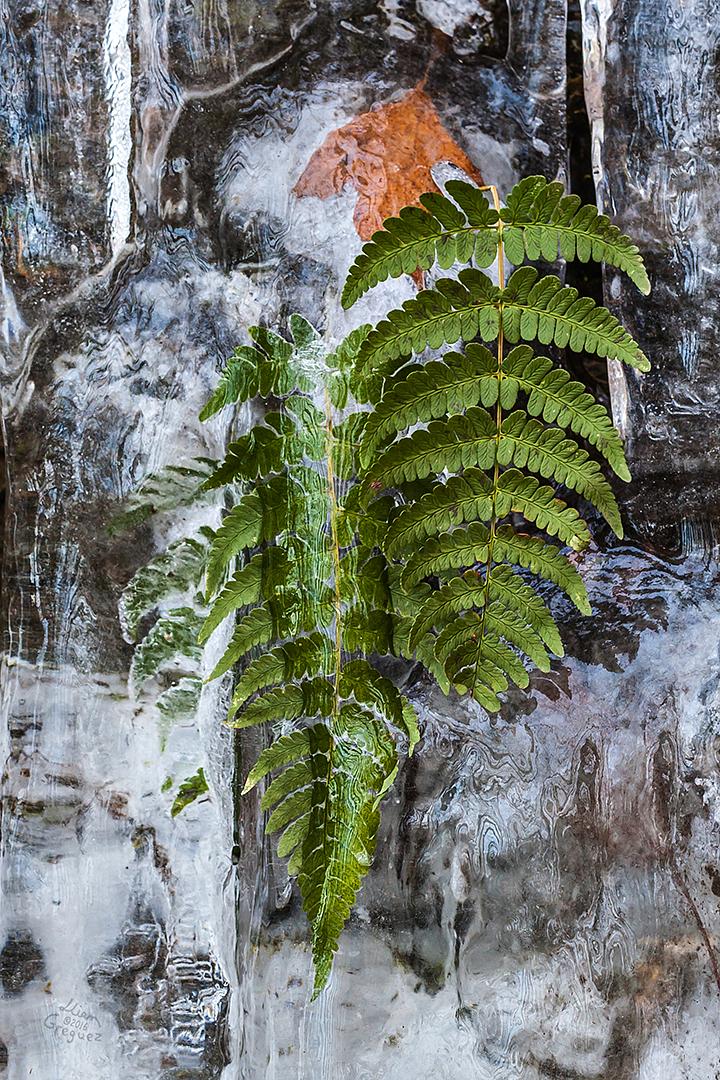 Catskill mountain Ice in the winter of 2016 photographed by Lliam Greguez
