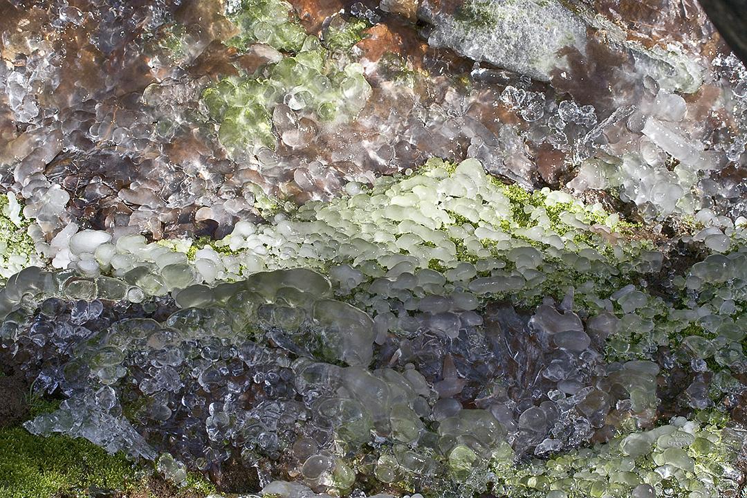 Catskill mountain winter Ice macro photograph by Lliam Greguez 2006