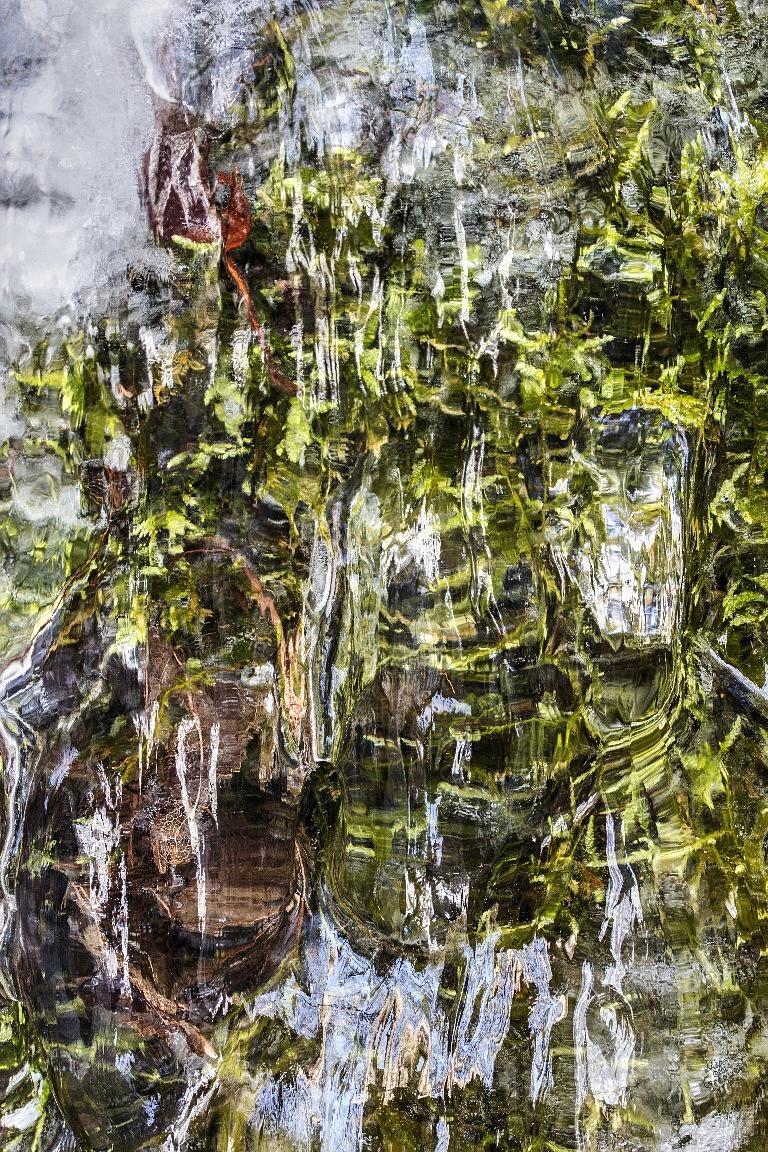 LliamGreguez 2025 Catskills iceformation ice iceart FrozenWater winter nature Stream naturephotography earthoutdoors roamtheplanet  Artist Macro Photography Str12ng Swivelable