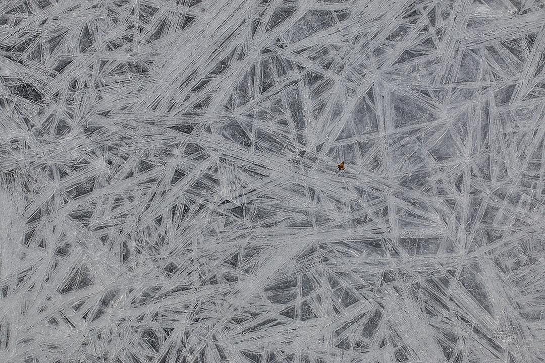 LliamGreguez Catskills iceformation ice iceart FrozenWater winter nature Stream naturephotography earthoutdoors roamtheplanet swivelable AgoraGallery Artist Macro Photography @str12ng