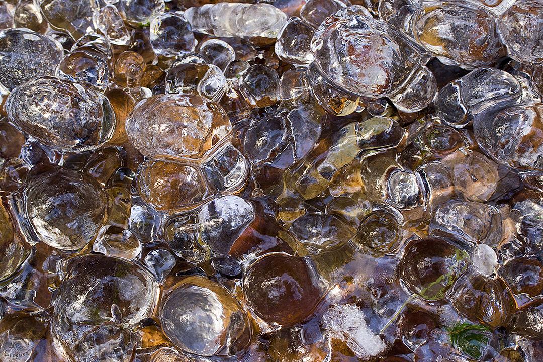 Catskill mountain winter Ice macro photograph by Lliam Greguez 2006