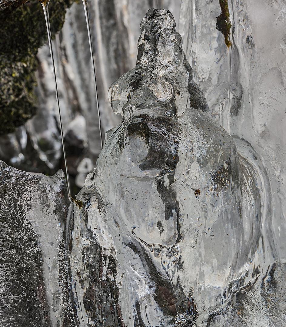 LliamGreguez Catskills iceformation ice iceart FrozenWater winter nature Stream naturephotography earthoutdoors roamtheplanet swivelable AgoraGallery Artist Macro Photography @str12ng