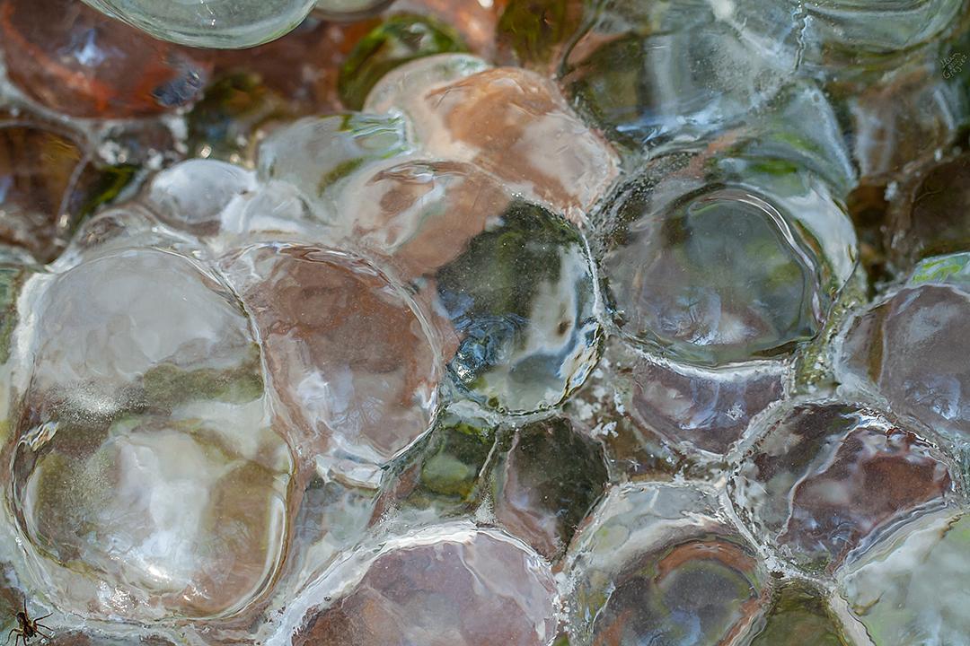 2012 Ice Catskill Mountain Winter Macro Photo