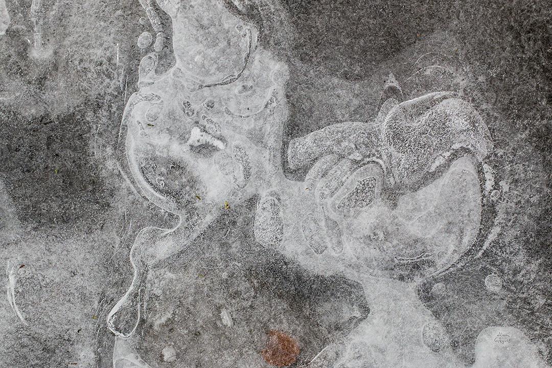 LliamGreguez Catskills iceformation ice iceart FrozenWater winter nature Stream naturephotography earthoutdoors roamtheplanet swivelable AgoraGallery Artist Macro Photography str12ng