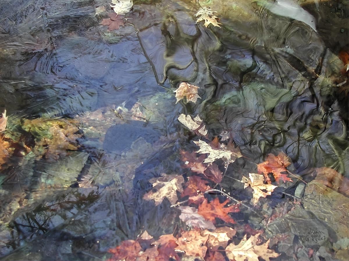 Catskill mountain winter Ice macro photograph by Lliam Greguez 2004