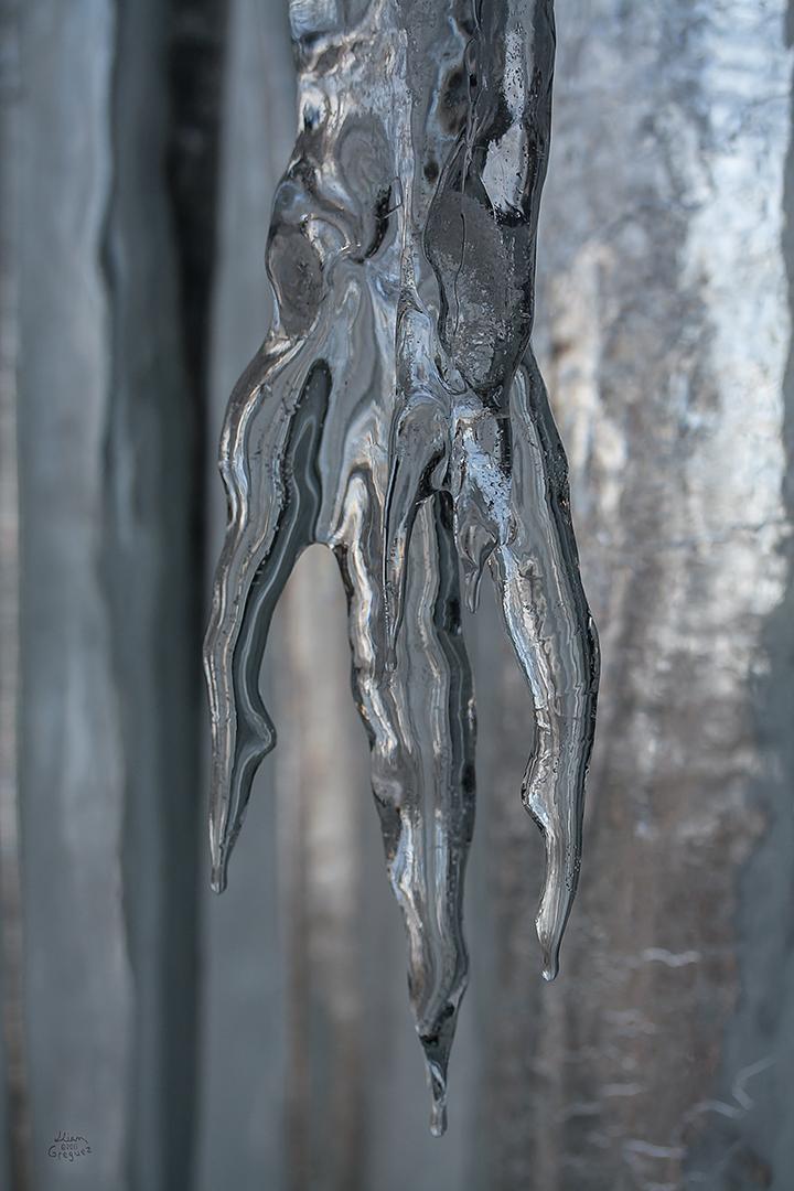 Catskill mountain winter Ice macro photograph by Lliam Greguez 2011