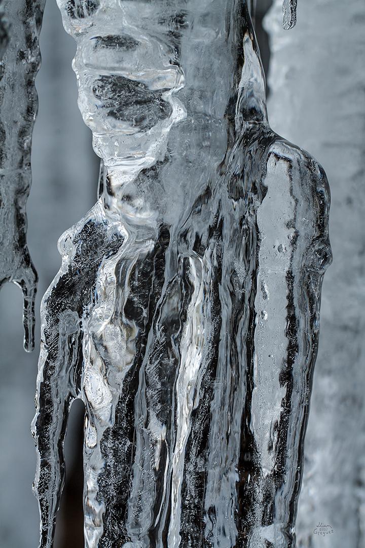 2013 Ice Catskill Mountain Winter Macro Photo