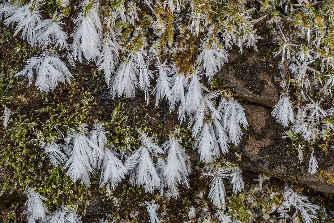 LliamGreguez Catskills iceformation ice iceart FrozenWater winter nature Stream naturephotography earthoutdoors roamtheplanet swivelable AgoraGallery Artist Macro Photography @str12ng