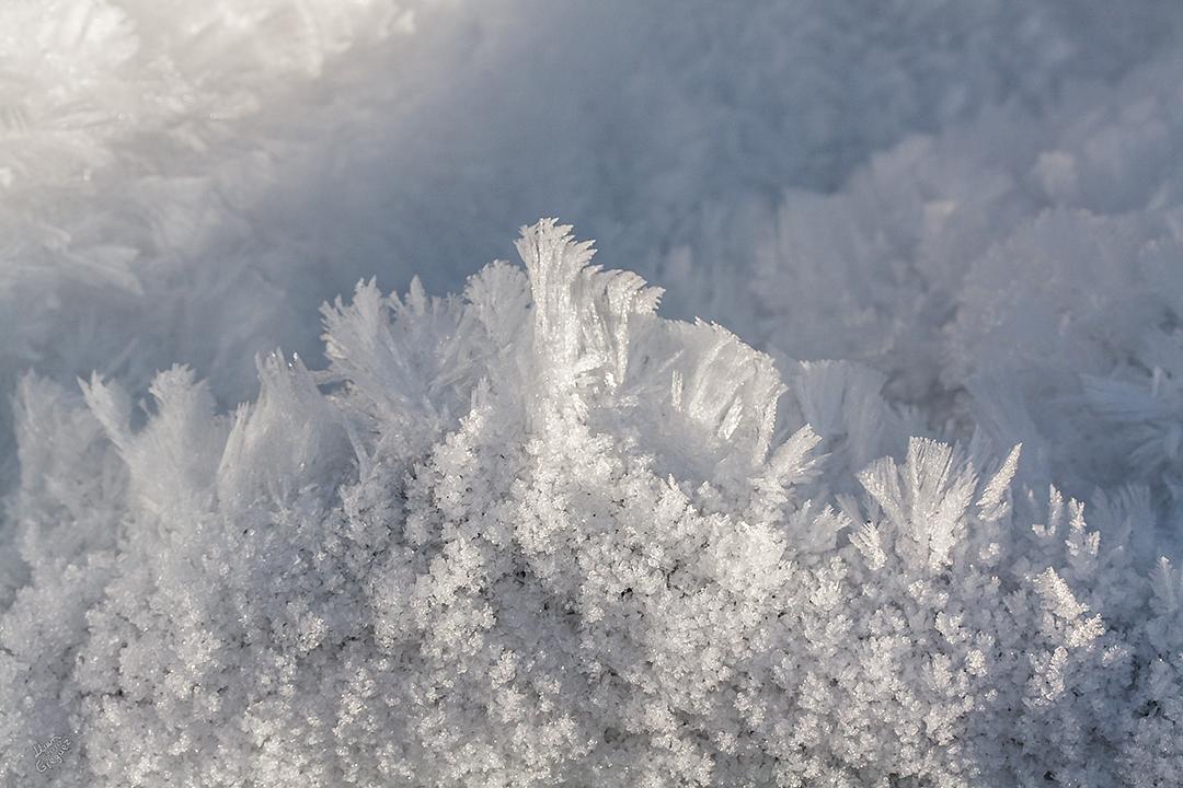 Catskill mountain winter Ice macro photograph by Lliam Greguez 2010
