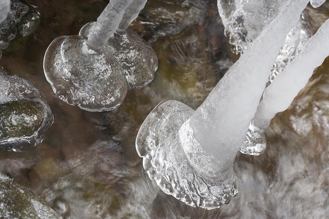 Catskill mountain winter Ice macro photograph by Lliam Greguez 2006